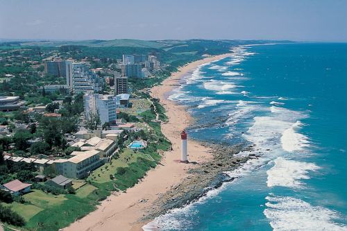 Protea Umhlanga (3)